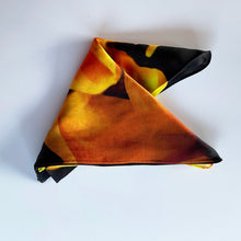 Load image into Gallery viewer, Helianthus Scarf