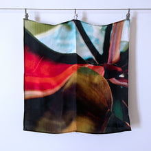 Load image into Gallery viewer, Philodendron Petite Square